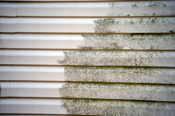 Best Carpet Removal and Disposal  in Four Oaks, NC